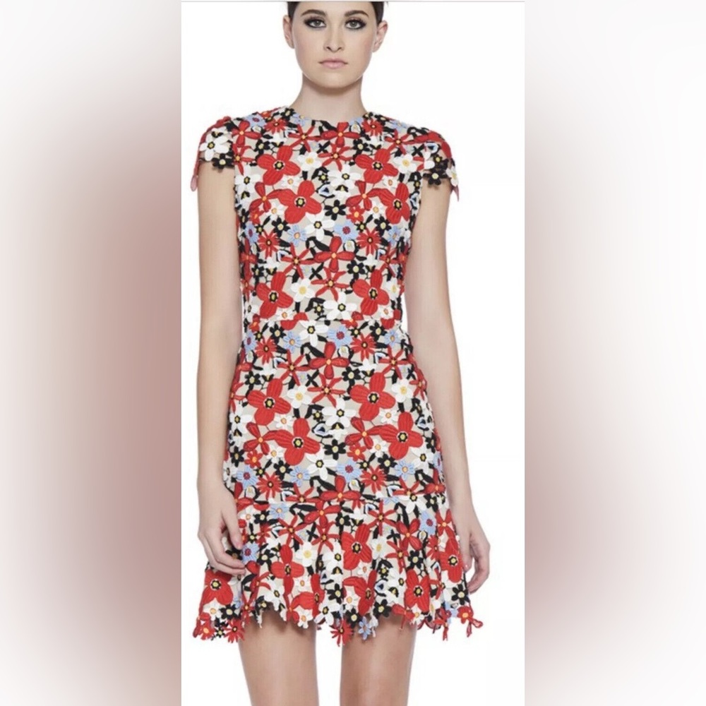 Alice + Olivia Red and Black Floral Mini Dress